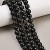 Natural Seraphinite Beads Strands G-H337-A03-04-1