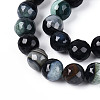 Dyed & Heated Natural Fire Crackle Agate Beads Strands G-N359-01B-02-4