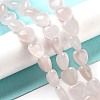 Natural Rose Quartz Beads Strands G-P528-C04-01-2