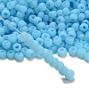 TOHO 3/0 Round Beads SEED-XTR03-0143F-2
