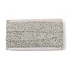 Glitter Resin Hotfix Rhinestone(Hot Melt Adhesive On The Back) OCOR-XCP0002-34-1