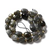 Natural Labradorite Beads Strands G-B028-B04-3