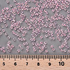 11/0 Grade A Round Glass Seed Beads SEED-N001-E-307-3
