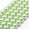 Polished Round Grade A Shell Pearl Bead Strands BSHE-M027-6mm-21-1