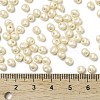 6/0 Glass Seed Beads SEED-L011-08A-16-4