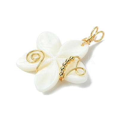 Natural Carved Freshwater Shell Pendants PALLOY-JF03392-1