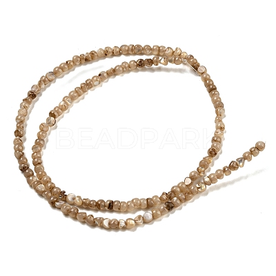Natural White Shell Dyed Beads Strands BSHE-Z005-03A-1