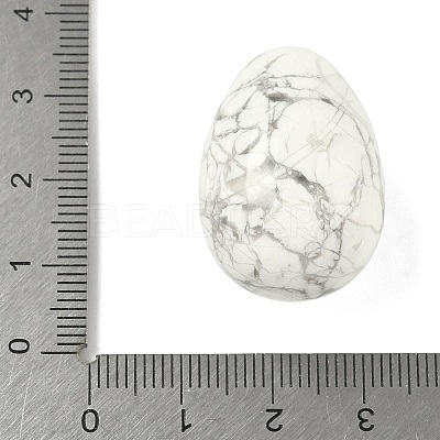 Natural Howlite Egg Shape Display Decorations G-Z094-01F-1