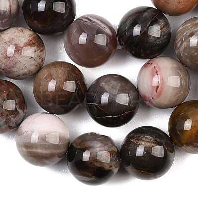 Natural Petrified Wood Beads Strands G-L648-A03-16mm-02-1