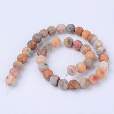 Natural Crazy Lace Agate Beads Strands G-Q462-6mm-12-1