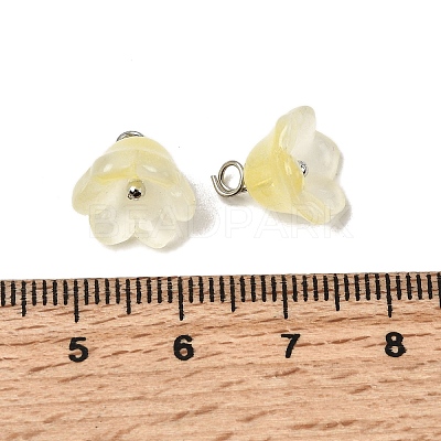 Glass Charms GLAA-G127-03B-1