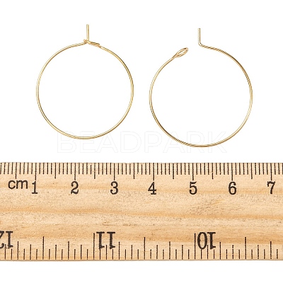Ion Plating(IP) 316L Surgical Stainless Steel Hoop Earring Findings STAS-D164-01G-1