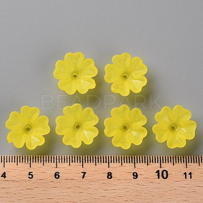 Transparent Frosted Acrylic Bead Caps MACR-S371-04A-717-1