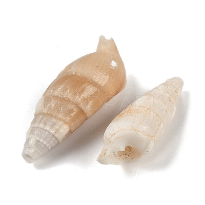 Natural Spiral Shell Pendants SHEL-K009-17B-1