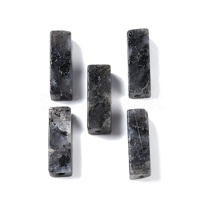 Natural Larvikite Beads LS-G-G137-01M-1