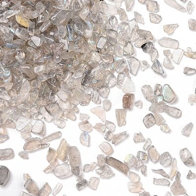 Natural Labradorite Beads G-O103-22-1
