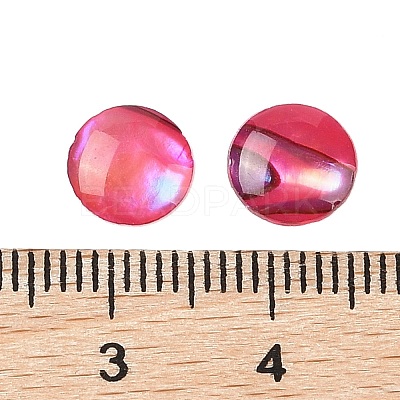 Natural Abalone Shell/Paua Shell Resin Cabochons SSHEL-K003-8MM-01-1