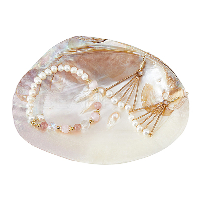 Natural Shell Jewelry Plates DJEW-WH0058-08-1