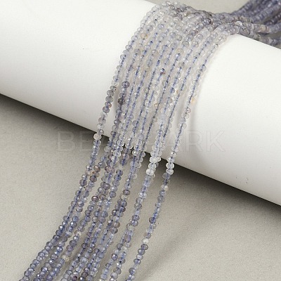 Natural Iolite Beads Strands G-F789-02-1