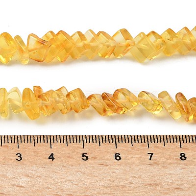 Natural Amber Beads Strands G-K376-C02-01-1