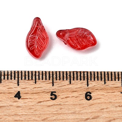 Glass Beads GLAA-D303-08C-1