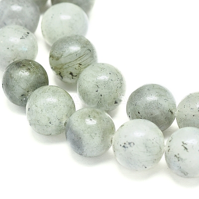 Natural Labradorite Beads Strands G-G828-01-10mm-1
