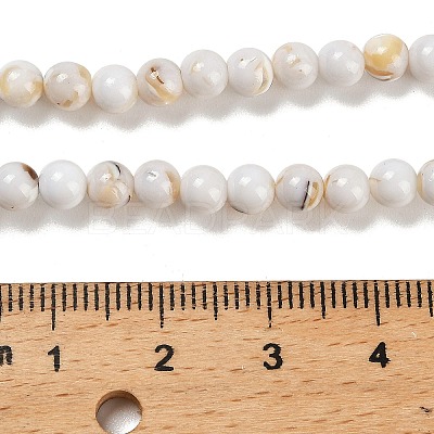 Assembled Synthetic Stone and Trochus Shell Beads Strands G-B128-08A-01-1