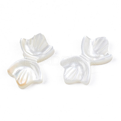 Natural White Shell Beads SSHEL-S258-105A-1