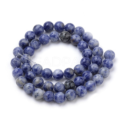 Natural Brazil Blue Spot Jasper Beads Strands G-S259-36-10mm-1