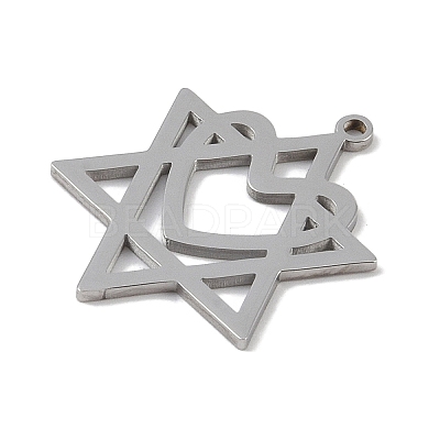 Non-Tarnish 304 Stainless Steel Pendants STAS-B062-19P-1