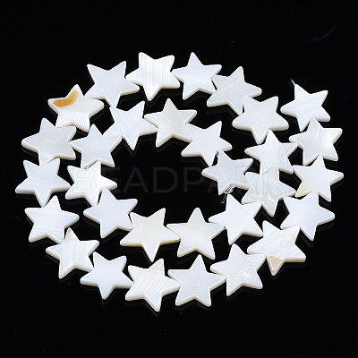 Natural Freshwater Shell Beads Strands X-SHEL-S278-01D-01-1