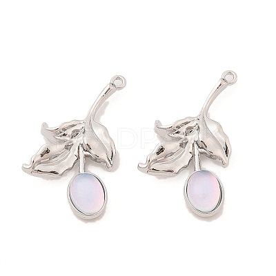 Alloy & Resin Pendants FIND-Z053-04A-01-1