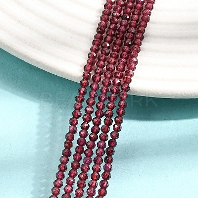 Natural Garnet Beads Strands G-J002-20-1