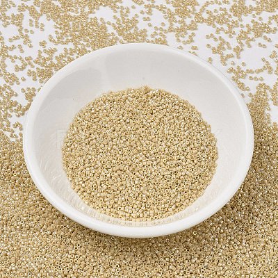 MIYUKI Delica Beads SEED-X0054-DB1571-1