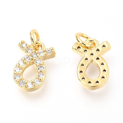 Brass Micro Pave Clear Cubic Zirconia Charms ZIRC-O036-30G-E-1