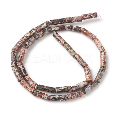 Natural Leopard Skin Jasper Beads Strands X-G-F247-27-1