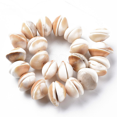 Natural Shell Beads Strands SSHEL-N034-100-1