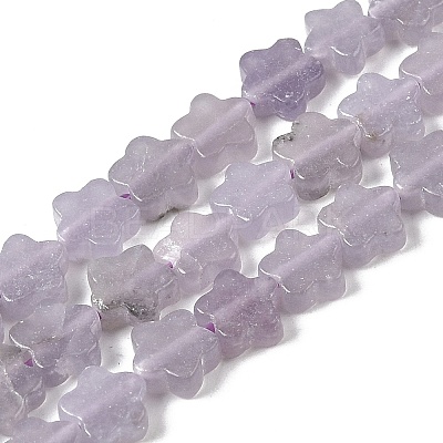Natural Lepidolite/Purple Mica Stone Beads Strands G-B138-C18-01-1