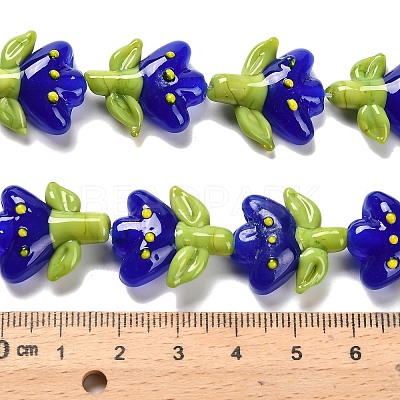 Handmade Lampwork Beads Strands LAMP-A005-03C-1