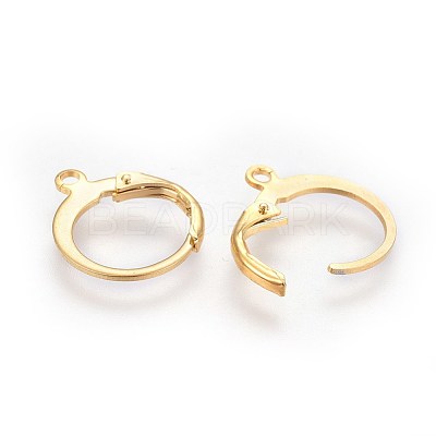 304 Stainless Steel Leverback Earring Findings STAS-I100-19G-1