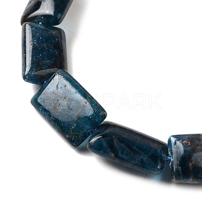 Natural Apatite Beads Strands G-Q026-B01-01-1