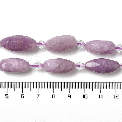 Natural Phosphosiderite Beads Strands G-H297-A06-01-1