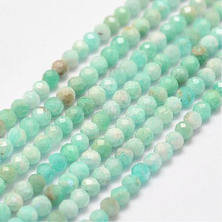 Natural Amazonite Bead Strands G-P279-42-3mm-1