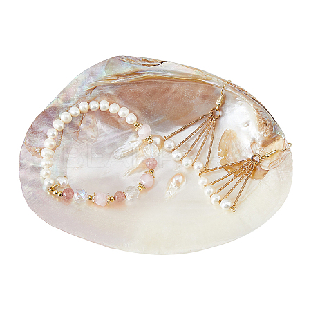 Natural Shell Jewelry Plates DJEW-WH0058-08-1