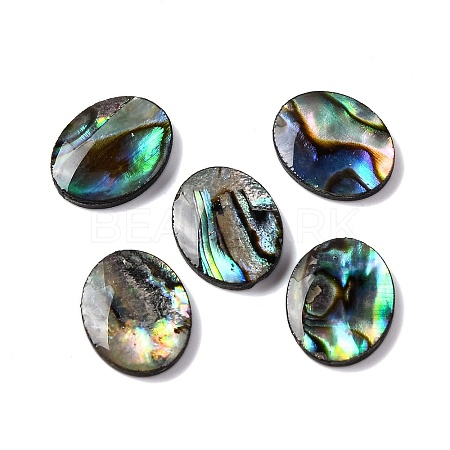 Natural Paua Shell Epoxy Resin Cabochons SSHEL-S279-01G-1