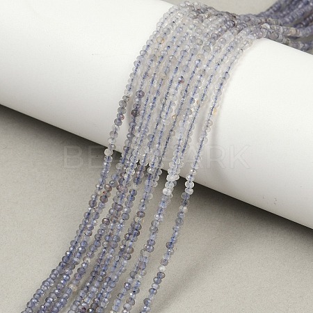 Natural Iolite Beads Strands G-F789-02-1