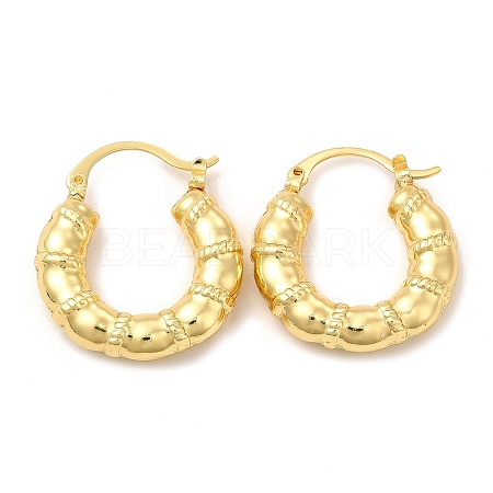 Rack Plating Brass Donut Hoop Earrings for Women EJEW-G342-04G-1