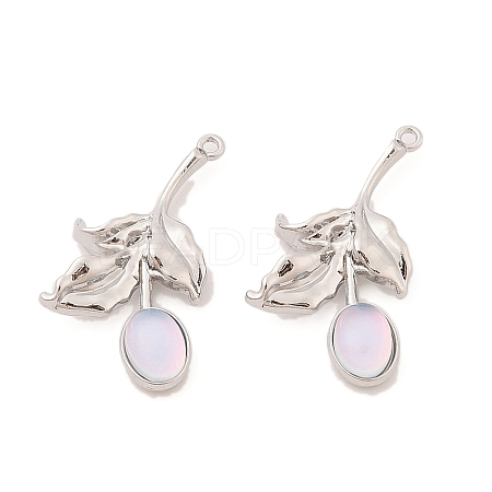 Alloy & Resin Pendants FIND-Z053-04A-01-1
