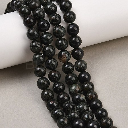 Natural Seraphinite Beads Strands G-H337-A03-04-1