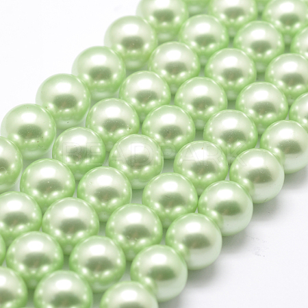 Polished Round Grade A Shell Pearl Bead Strands BSHE-M027-6mm-21-1